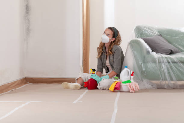 Reliable Black Mold Removal contractor in Kingsley, MI by WQB Mold Removal